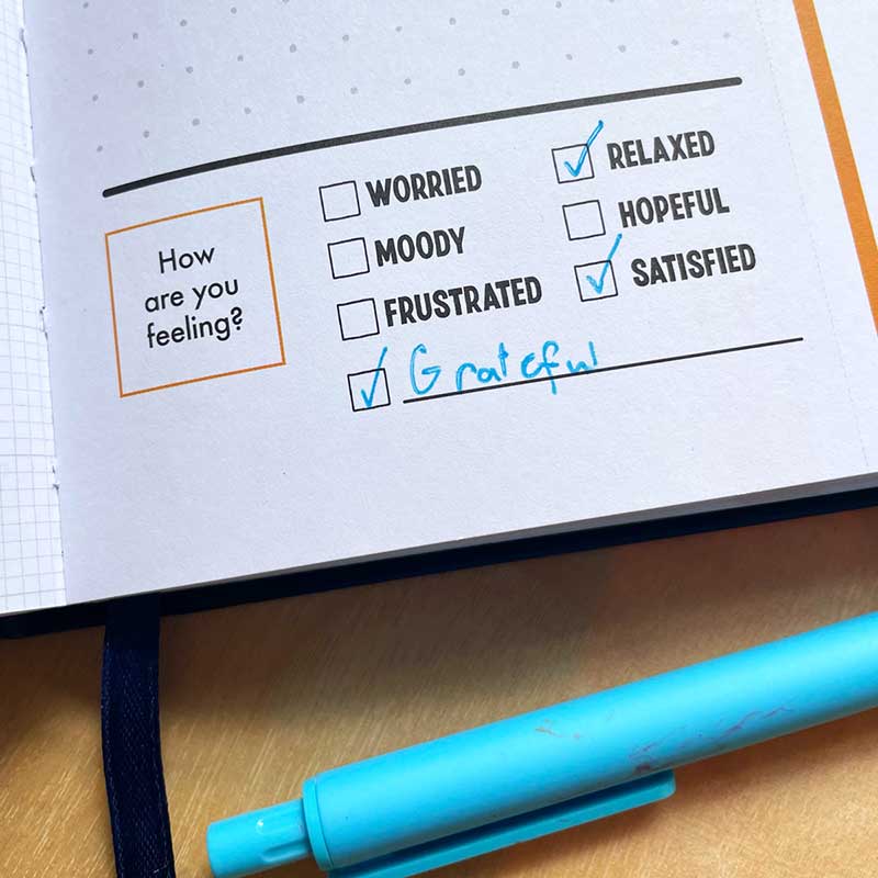 Teen Journal Feelings