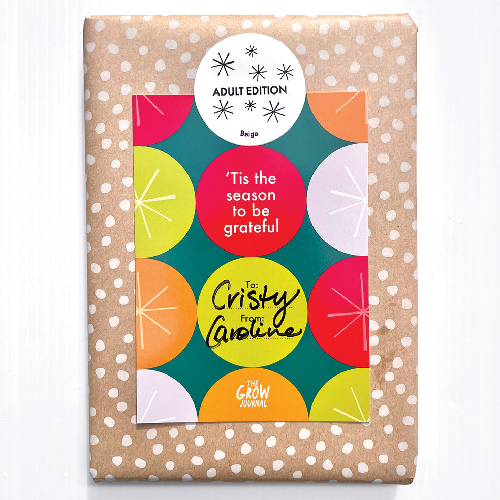 Inky Co Christmas gift wrap with The Grow Journal